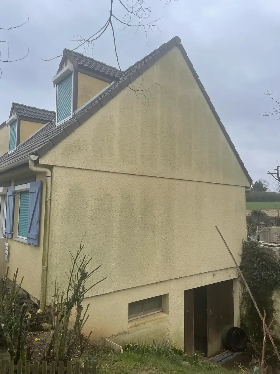 Pignon d'une maison verdi par les mousses avant nettoyage en Eure-et-Loir