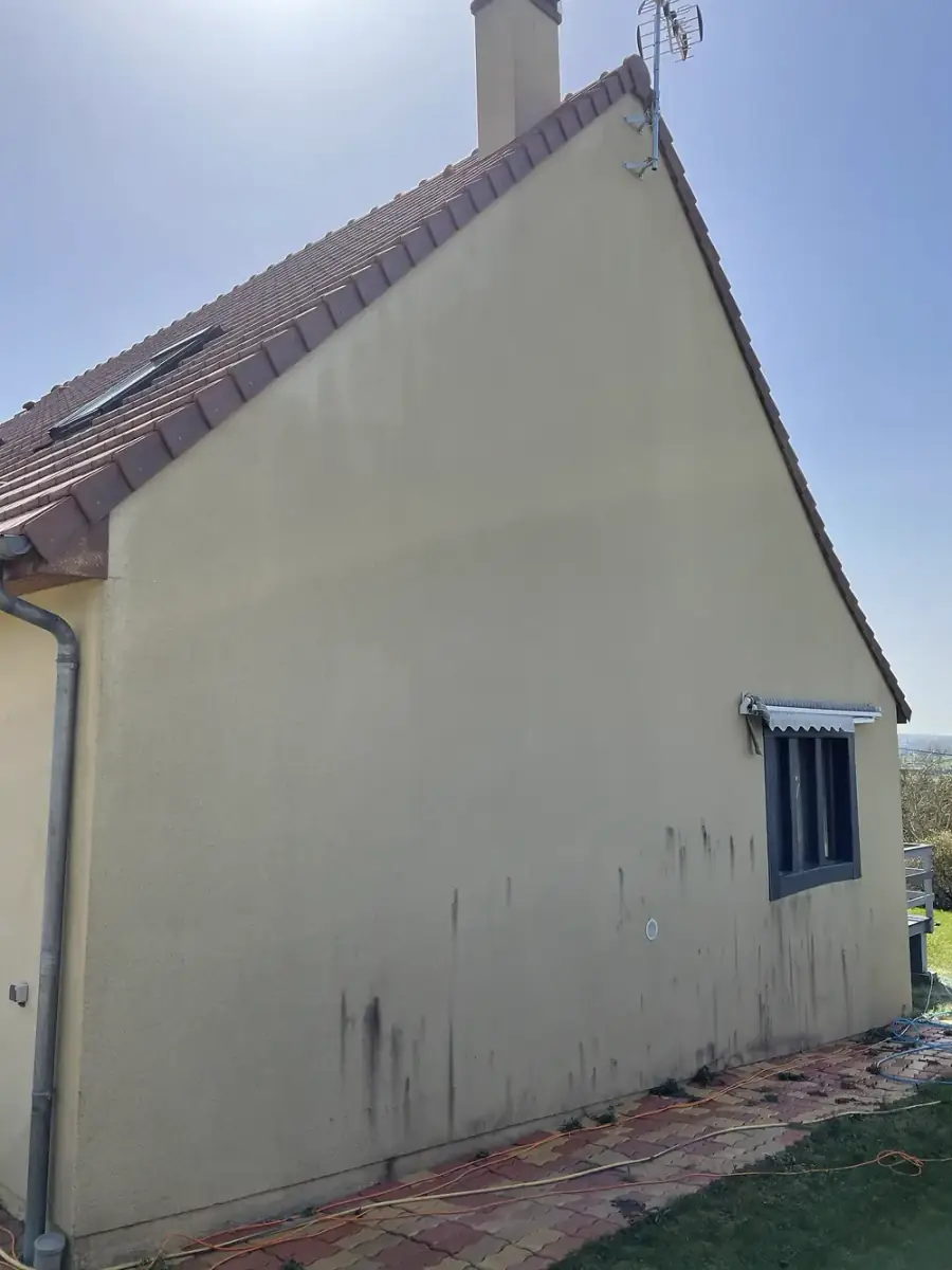 Le même pignon assaini après pulvérisation biocide et lavage