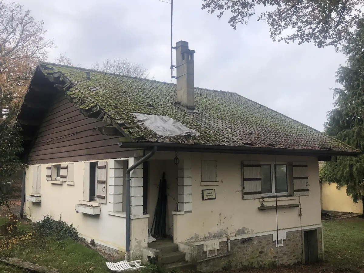 Toiture envahie par la mousse à nettoyer et démousser en Eure-et-Loir (28)